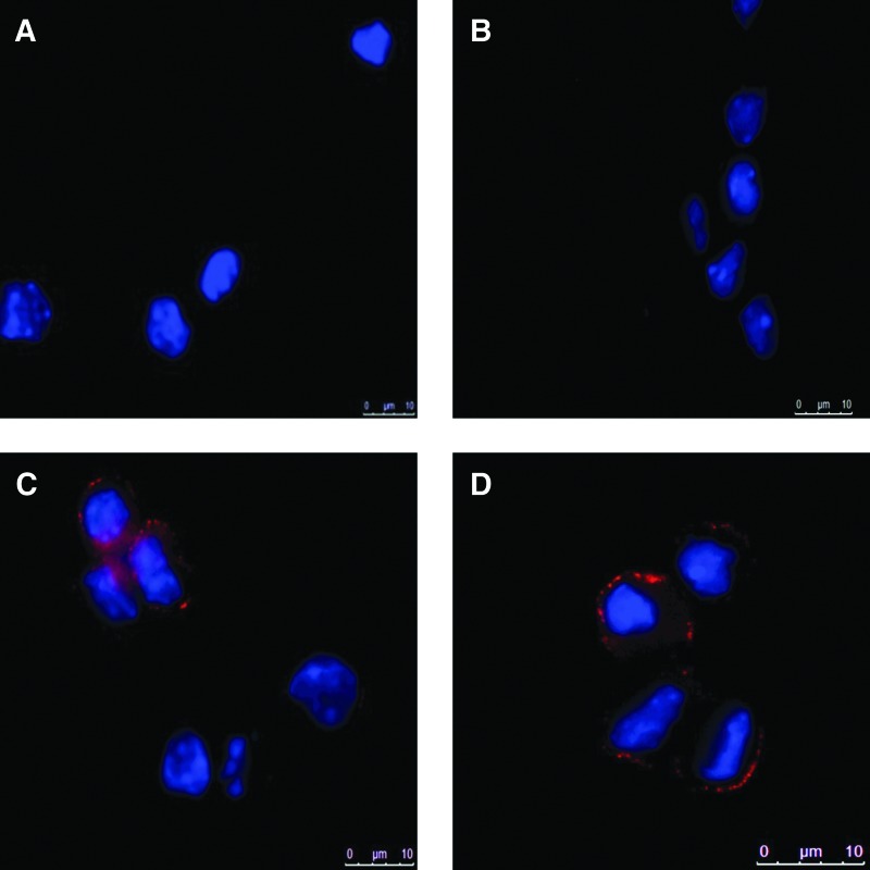 FIG. 5.