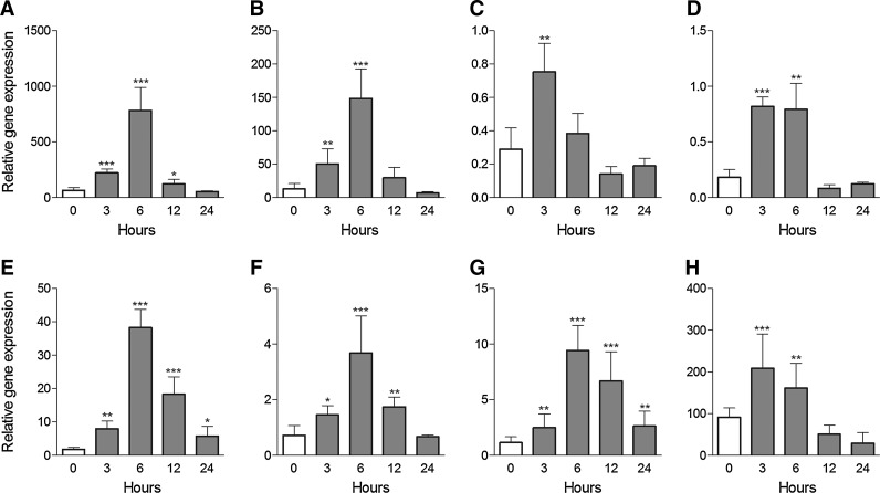 FIG. 2.