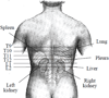 FIGURE 25