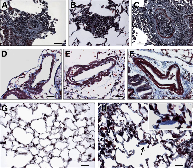 Figure 6