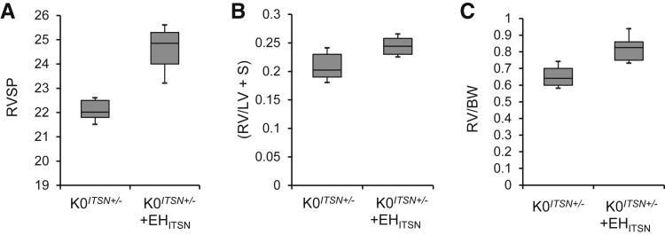 Figure 7