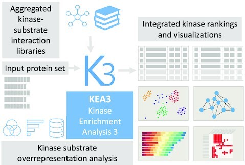 Graphical Abstract