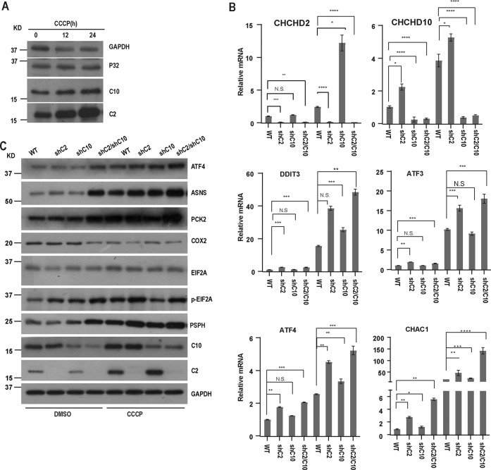 Fig. 2