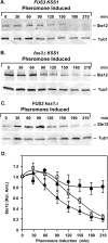 FIG. 5.