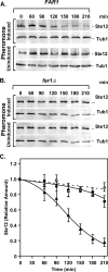 FIG. 6.
