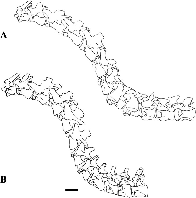 Figure 25