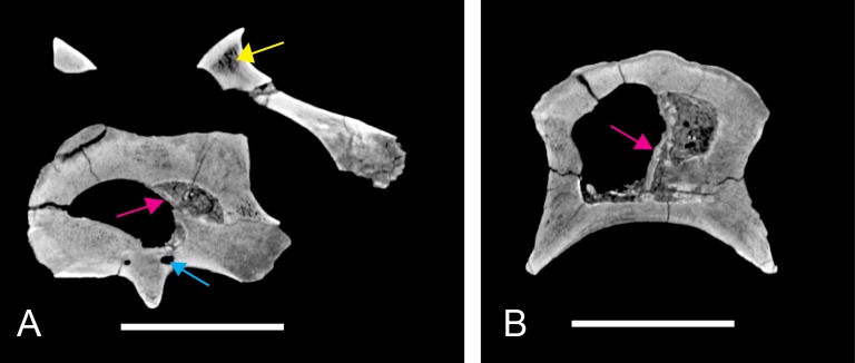 Figure 15