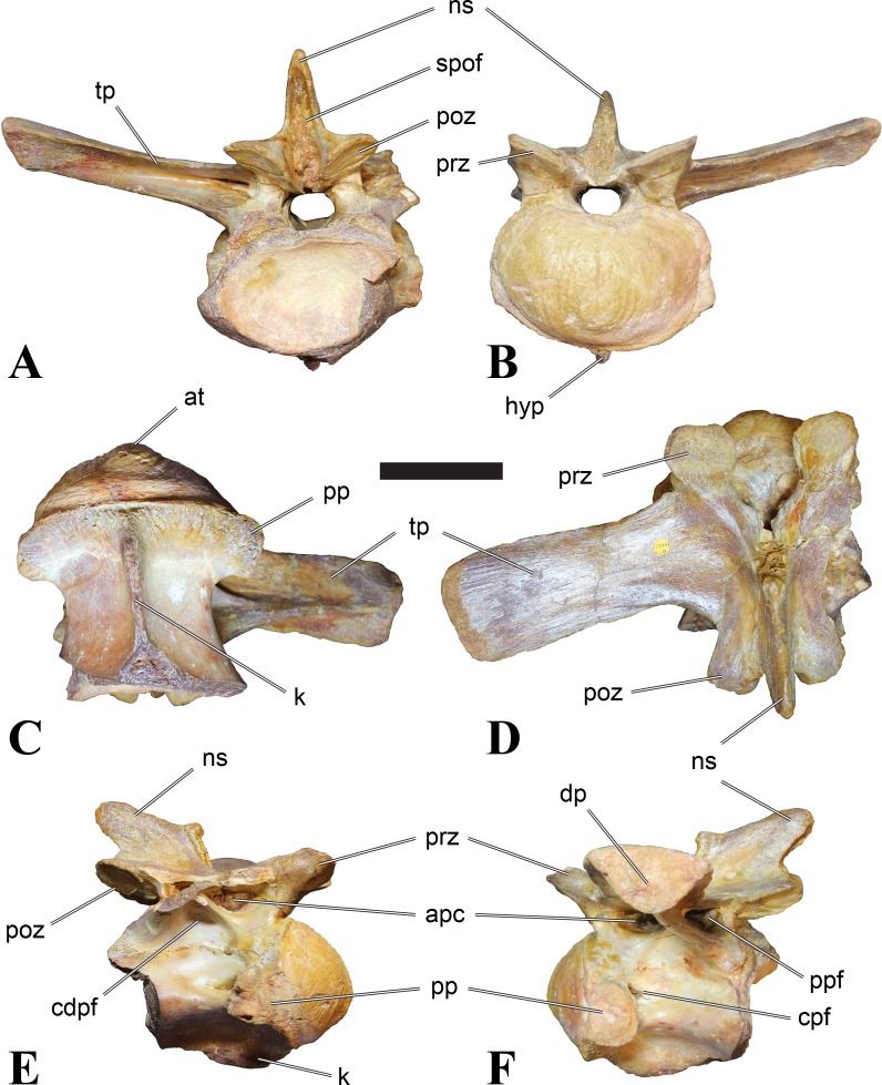 Figure 13