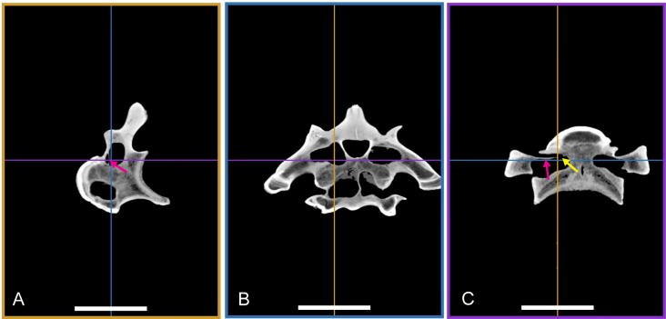 Figure 16