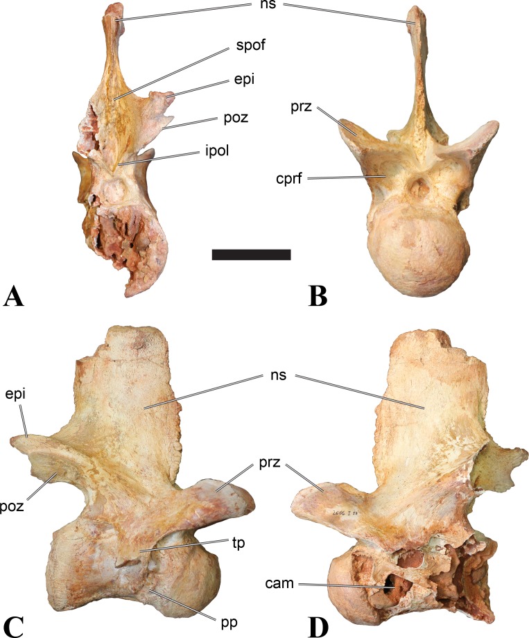 Figure 17