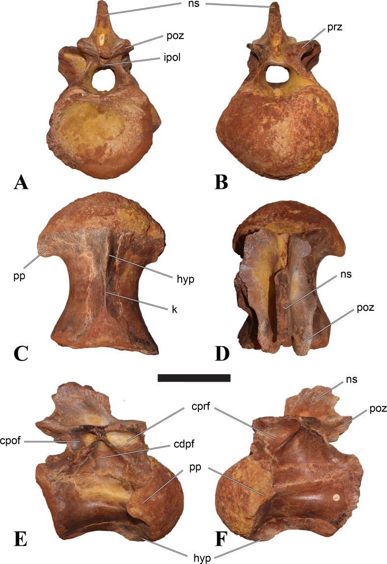 Figure 14