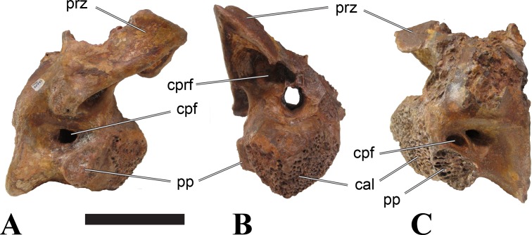 Figure 24