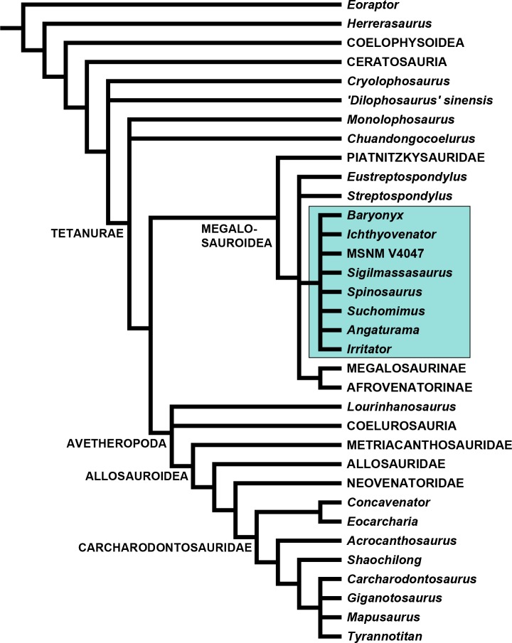 Figure 28