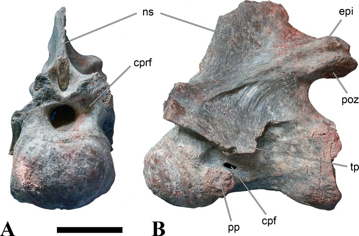 Figure 21