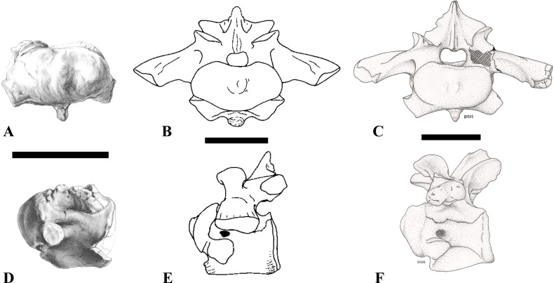 Figure 23