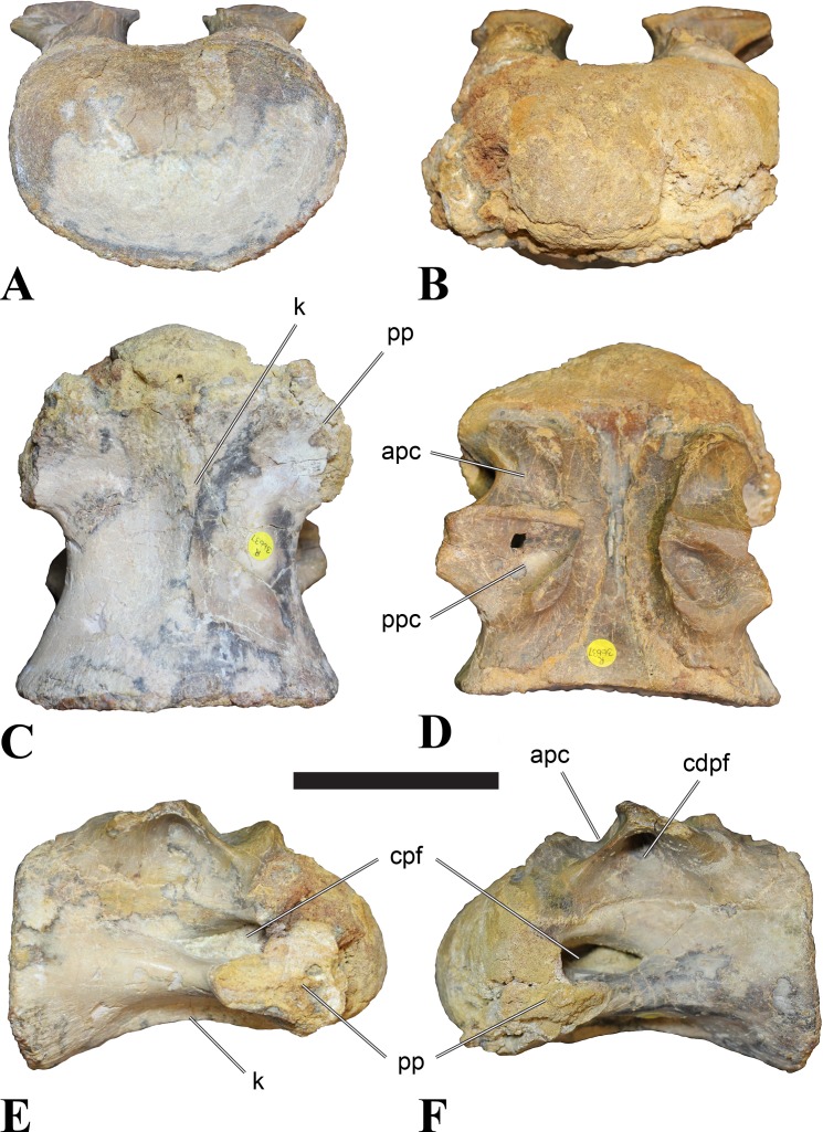 Figure 22