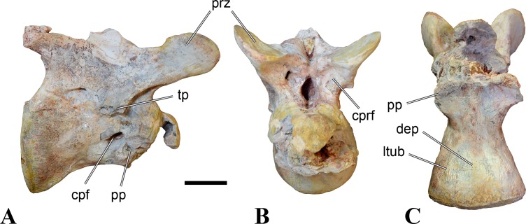 Figure 18