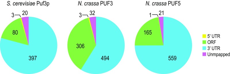 Fig. S3.