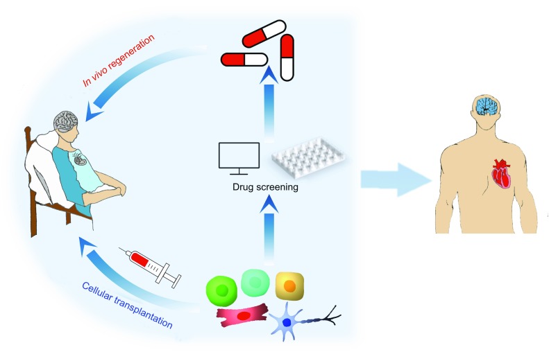 Figure 2