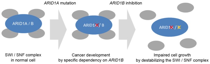 Figure 2.