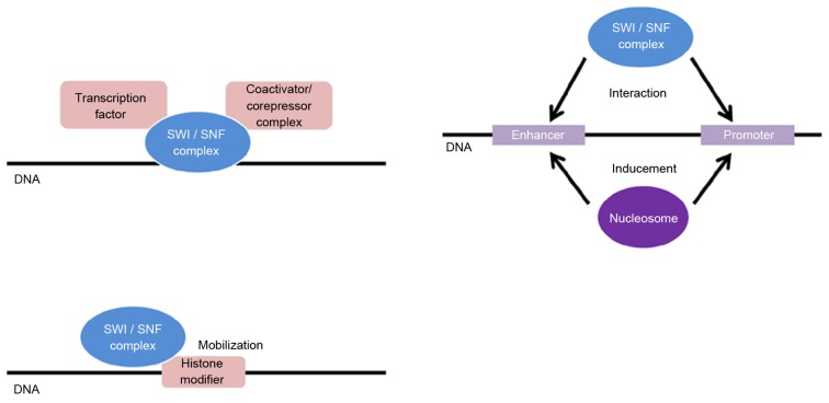 Figure 1.