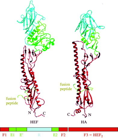 Fig 4