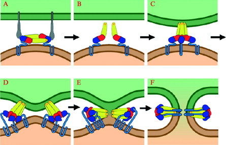 Fig 10