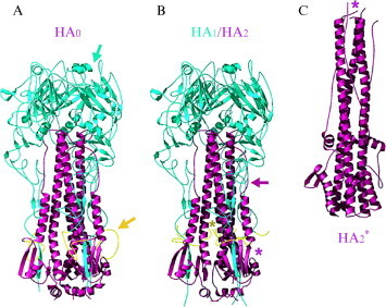 Fig 2