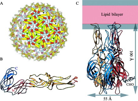 Fig 11