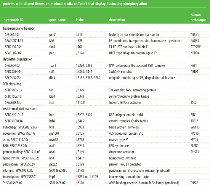 graphic file with name rsob200405f11.jpg