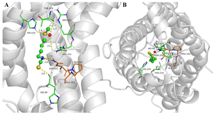 Figure 4