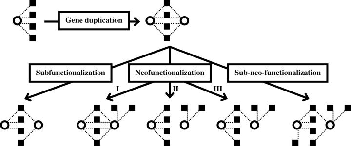 Figure 1.—