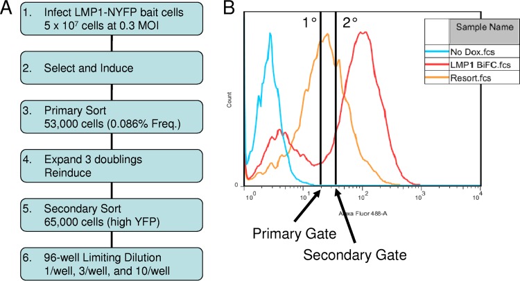 FIG 1