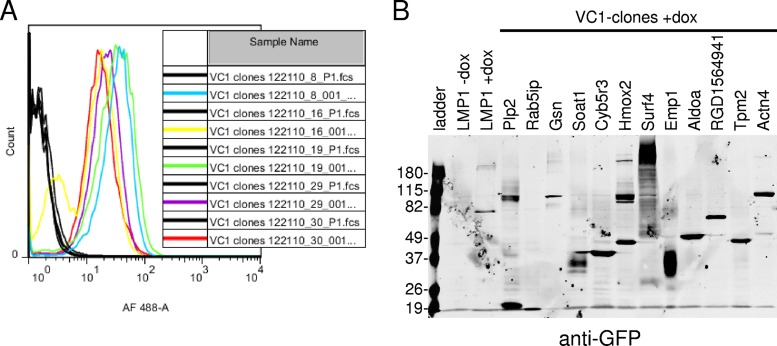 FIG 2