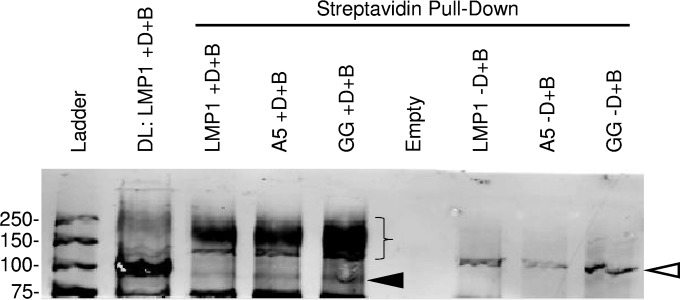 FIG 10