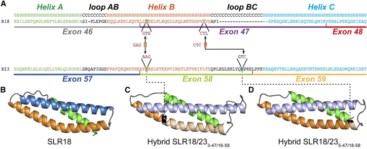 Figure 2