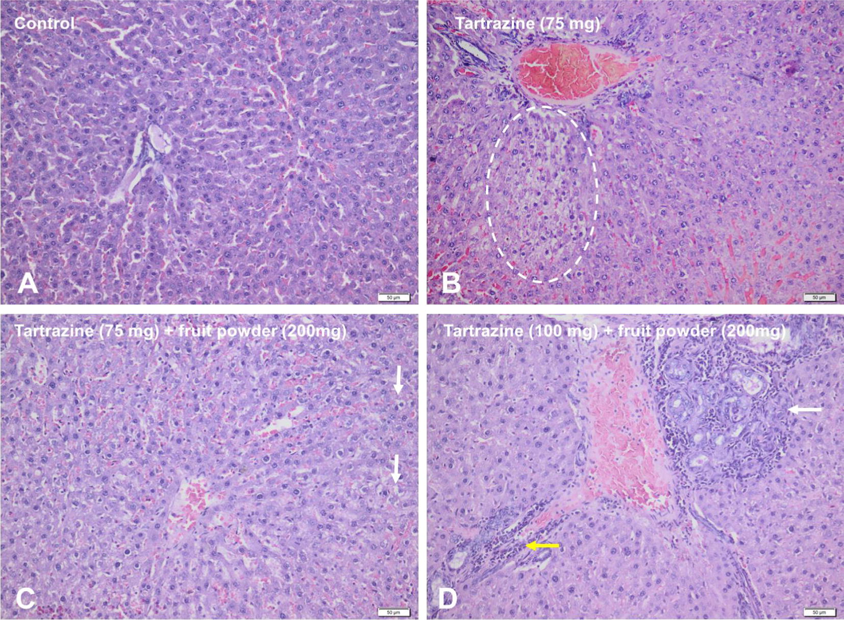 Fig. 2