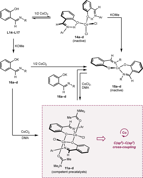 Scheme 9.