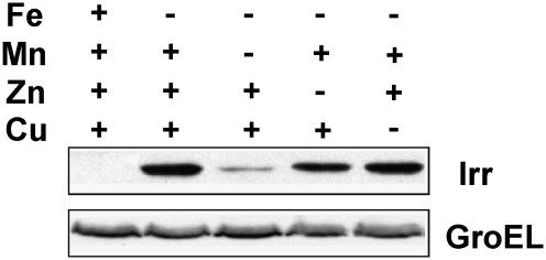 Fig. 3.