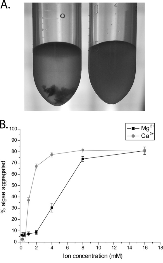 Fig 7