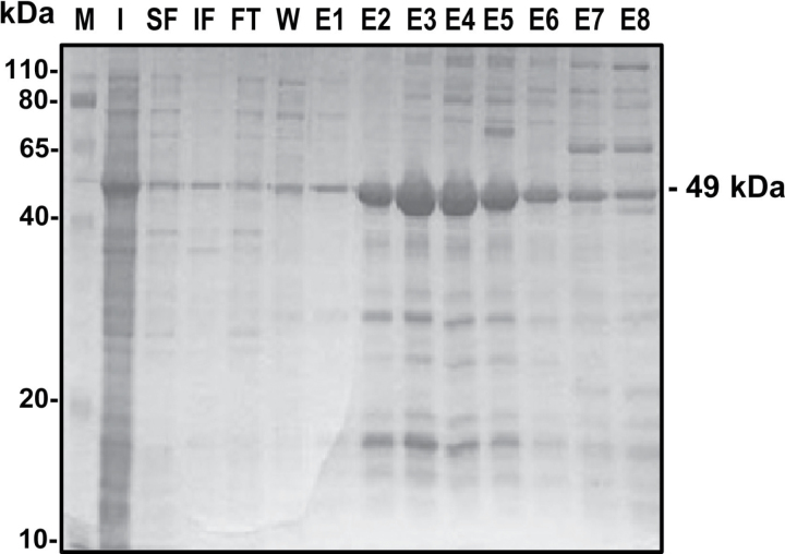 Fig. 1.