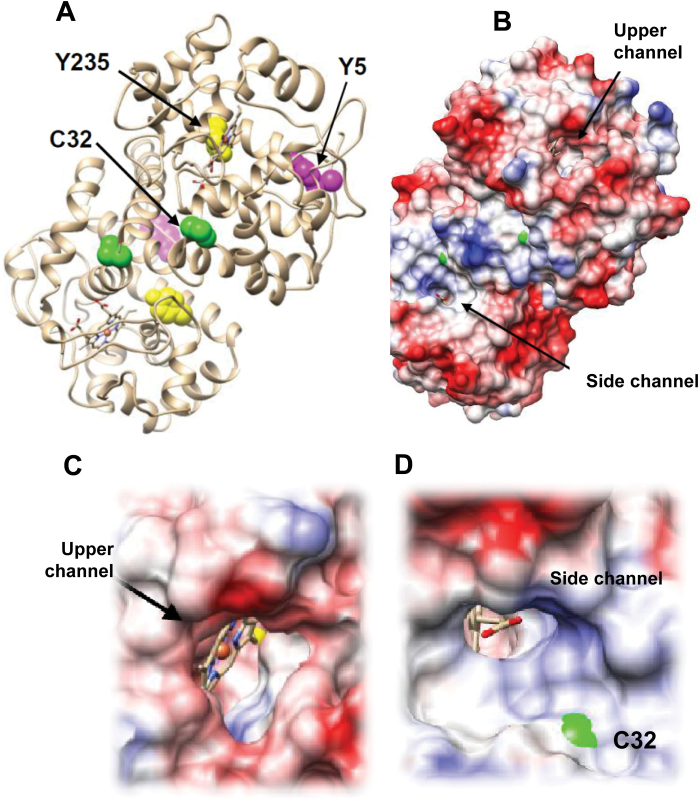 Fig. 4.