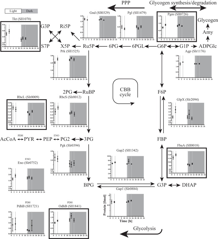 FIG 3