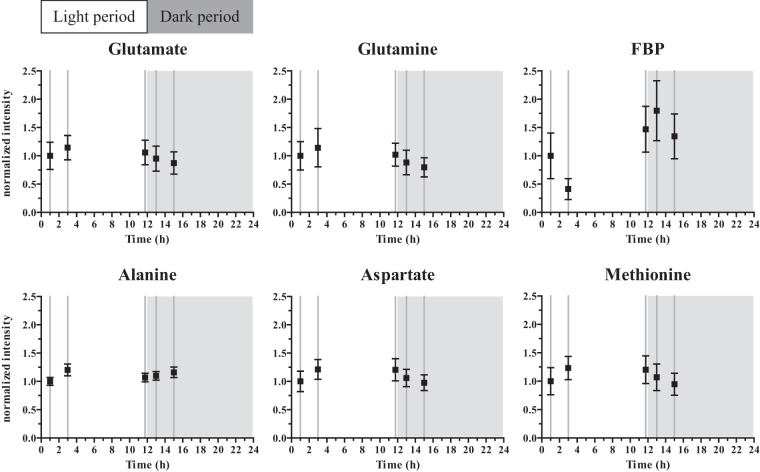 FIG 2