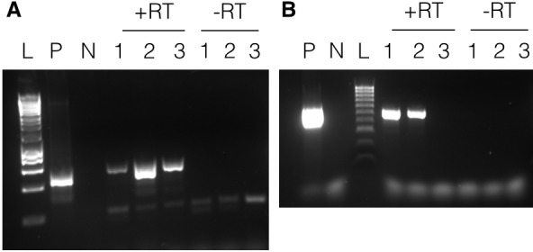 Figure 4.