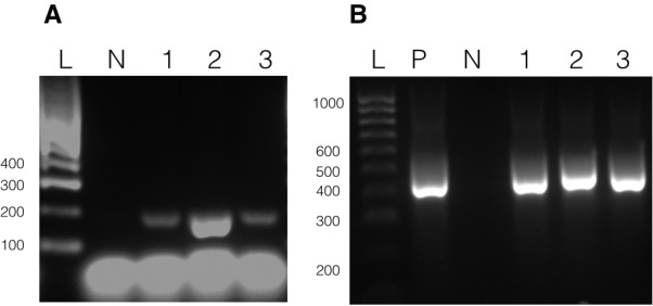 Figure 6.