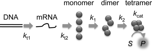 FIGURE 1.