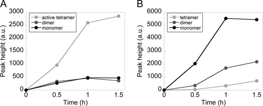 FIGURE 5.