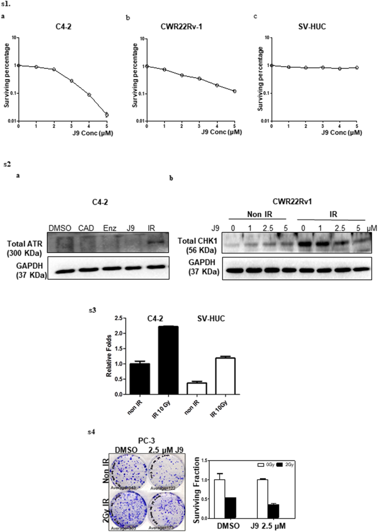 Supplementary Fig. S1