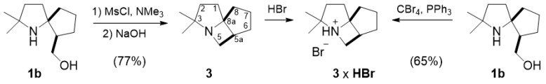 Scheme 10